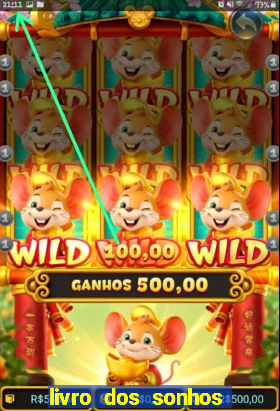 livro dos sonhos jogo do bicho